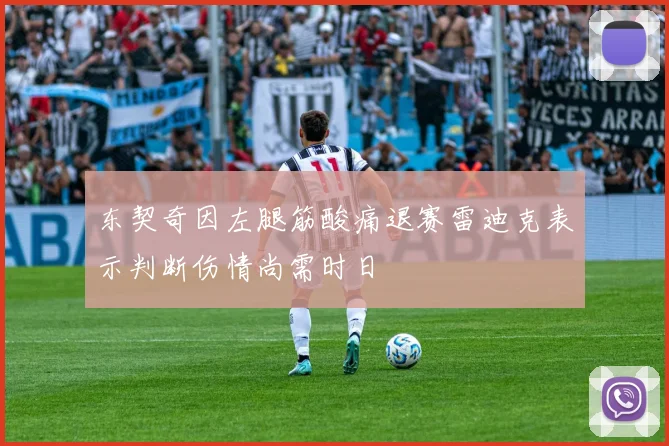 东契奇因左腿筋酸痛退赛雷迪克表示判断伤情尚需时日